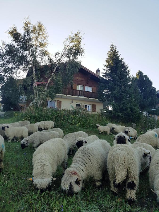 Chalet Bietschhorn Rosswald Termen Luaran gambar